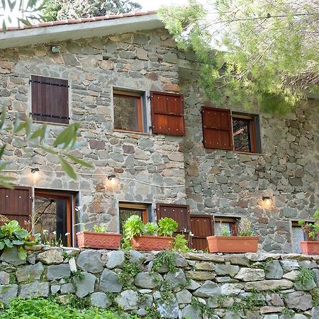 Due Pini Lägenhet Corniglia Exteriör bild