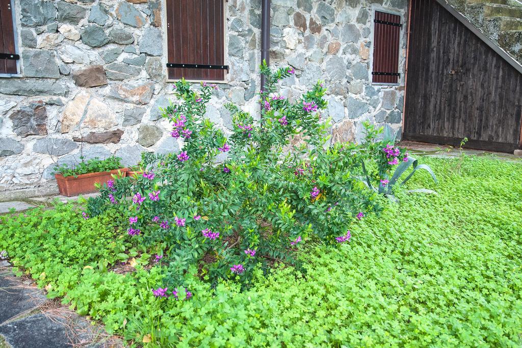 Due Pini Lägenhet Corniglia Exteriör bild
