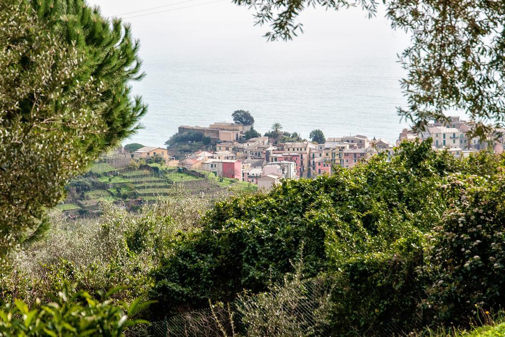 Due Pini Lägenhet Corniglia Exteriör bild